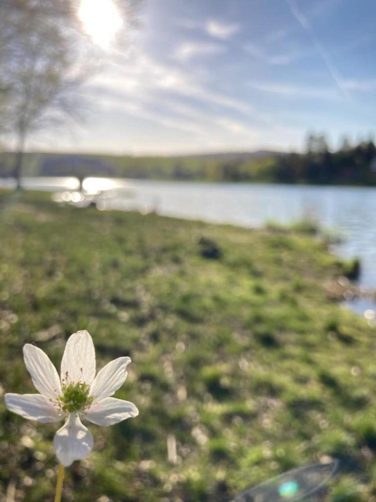 Valassky Hotel A Pivni Lazne Ogar Luhačovice Exteriör bild